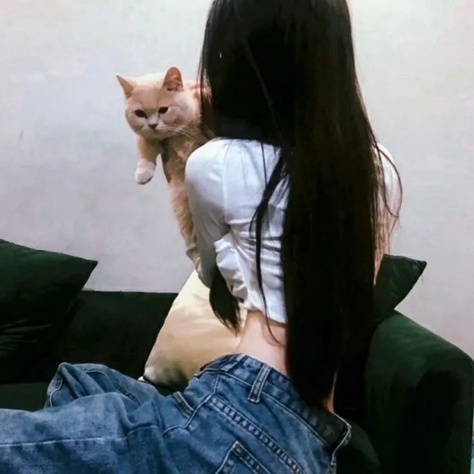 功夫熊猫