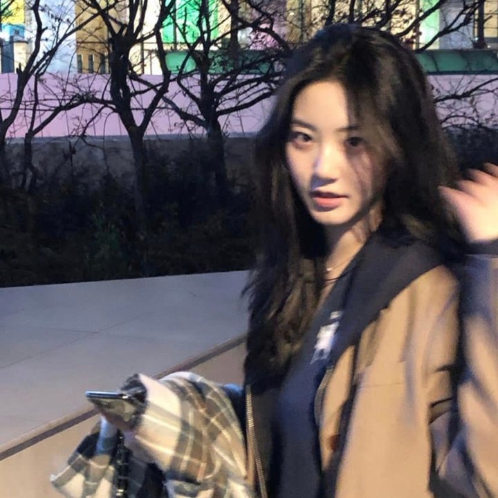 菜鸟老警第二季