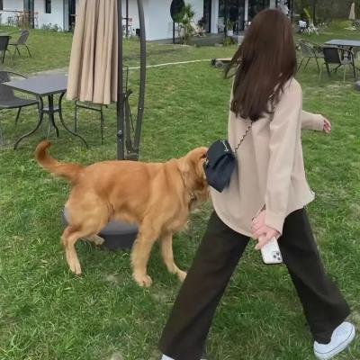狐狸猎手队